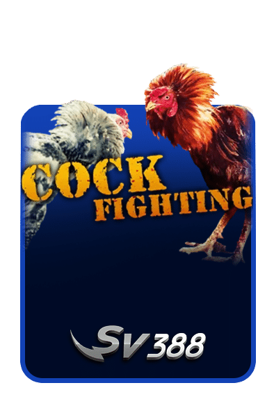 Cock-Fighting